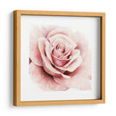 Rosa Rosa I - Grace Popp | Cuadro decorativo de Canvas Lab