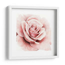 Rosa Rosa I - Grace Popp | Cuadro decorativo de Canvas Lab