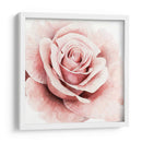 Rosa Rosa I - Grace Popp | Cuadro decorativo de Canvas Lab
