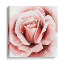 Rosa Rosa Ii - Grace Popp | Cuadro decorativo de Canvas Lab