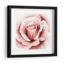 Rosa Rosa Ii - Grace Popp | Cuadro decorativo de Canvas Lab