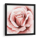 Rosa Rosa Ii - Grace Popp | Cuadro decorativo de Canvas Lab