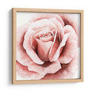 Rosa Rosa Ii - Grace Popp | Cuadro decorativo de Canvas Lab