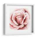 Rosa Rosa Ii - Grace Popp | Cuadro decorativo de Canvas Lab