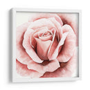 Rosa Rosa Ii - Grace Popp | Cuadro decorativo de Canvas Lab