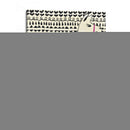 Fiesta Llama I - Chariklia Zarris | Cuadro decorativo de Canvas Lab