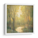 Santuario Forestal Ii - Tim OToole | Cuadro decorativo de Canvas Lab