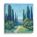 Cypress Path I - Tim OToole | Cuadro decorativo de Canvas Lab