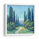 Cypress Path I - Tim OToole | Cuadro decorativo de Canvas Lab