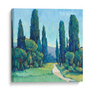 Cypress Path Ii - Tim OToole | Cuadro decorativo de Canvas Lab