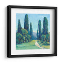 Cypress Path Ii - Tim OToole | Cuadro decorativo de Canvas Lab