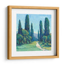 Cypress Path Ii - Tim OToole | Cuadro decorativo de Canvas Lab