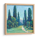 Cypress Path Ii - Tim OToole | Cuadro decorativo de Canvas Lab