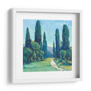 Cypress Path Ii - Tim OToole | Cuadro decorativo de Canvas Lab