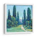Cypress Path Ii - Tim OToole | Cuadro decorativo de Canvas Lab