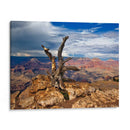 Canyon View V - David Drost | Cuadro decorativo de Canvas Lab