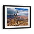 Canyon View V - David Drost | Cuadro decorativo de Canvas Lab