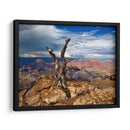 Canyon View V - David Drost | Cuadro decorativo de Canvas Lab