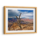 Canyon View V - David Drost | Cuadro decorativo de Canvas Lab