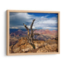 Canyon View V - David Drost | Cuadro decorativo de Canvas Lab