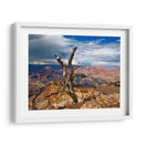 Canyon View V - David Drost | Cuadro decorativo de Canvas Lab