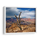 Canyon View V - David Drost | Cuadro decorativo de Canvas Lab