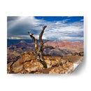 Canyon View V - David Drost | Cuadro decorativo de Canvas Lab