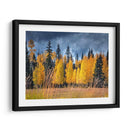 A Través De Los Árboles Amarillos I - David Drost | Cuadro decorativo de Canvas Lab