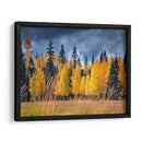 A Través De Los Árboles Amarillos I - David Drost | Cuadro decorativo de Canvas Lab