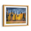 A Través De Los Árboles Amarillos I - David Drost | Cuadro decorativo de Canvas Lab