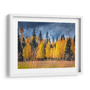 A Través De Los Árboles Amarillos I - David Drost | Cuadro decorativo de Canvas Lab