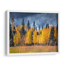 A Través De Los Árboles Amarillos I - David Drost | Cuadro decorativo de Canvas Lab