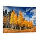 A Través De Los Árboles Amarillos Ii - David Drost | Cuadro decorativo de Canvas Lab