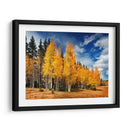 A Través De Los Árboles Amarillos Ii - David Drost | Cuadro decorativo de Canvas Lab