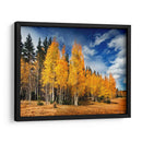 A Través De Los Árboles Amarillos Ii - David Drost | Cuadro decorativo de Canvas Lab