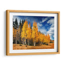 A Través De Los Árboles Amarillos Ii - David Drost | Cuadro decorativo de Canvas Lab