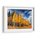A Través De Los Árboles Amarillos Ii - David Drost | Cuadro decorativo de Canvas Lab