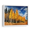 A Través De Los Árboles Amarillos Ii - David Drost | Cuadro decorativo de Canvas Lab