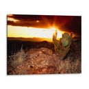 Puesta De Sol En El Desierto V - David Drost | Cuadro decorativo de Canvas Lab