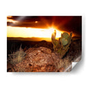 Puesta De Sol En El Desierto V - David Drost | Cuadro decorativo de Canvas Lab