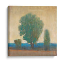 Limpiando La Tormenta I - Tim OToole | Cuadro decorativo de Canvas Lab