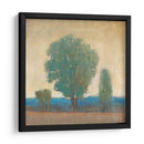 Limpiando La Tormenta I - Tim OToole | Cuadro decorativo de Canvas Lab