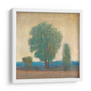 Limpiando La Tormenta I - Tim OToole | Cuadro decorativo de Canvas Lab