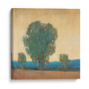 Clearing Storm Ii - Tim OToole | Cuadro decorativo de Canvas Lab