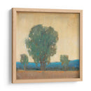 Clearing Storm Ii - Tim OToole | Cuadro decorativo de Canvas Lab