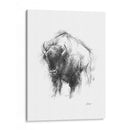 Bosquejo De Animales Occidentales I - Ethan Harper | Cuadro decorativo de Canvas Lab