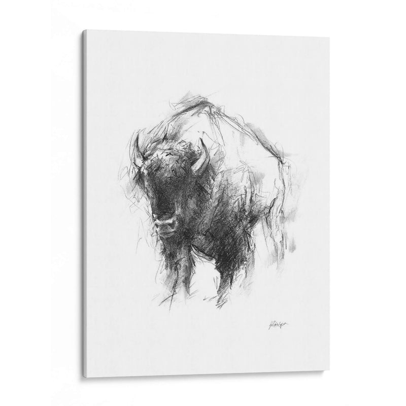 Bosquejo De Animales Occidentales I - Ethan Harper | Cuadro decorativo de Canvas Lab