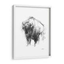 Bosquejo De Animales Occidentales I - Ethan Harper | Cuadro decorativo de Canvas Lab