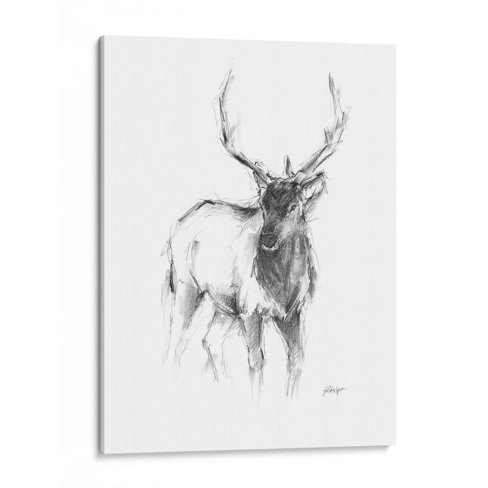 Bosquejo De Animales Occidentales Ii - Ethan Harper | Cuadro decorativo de Canvas Lab