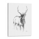 Bosquejo De Animales Occidentales Ii - Ethan Harper | Cuadro decorativo de Canvas Lab